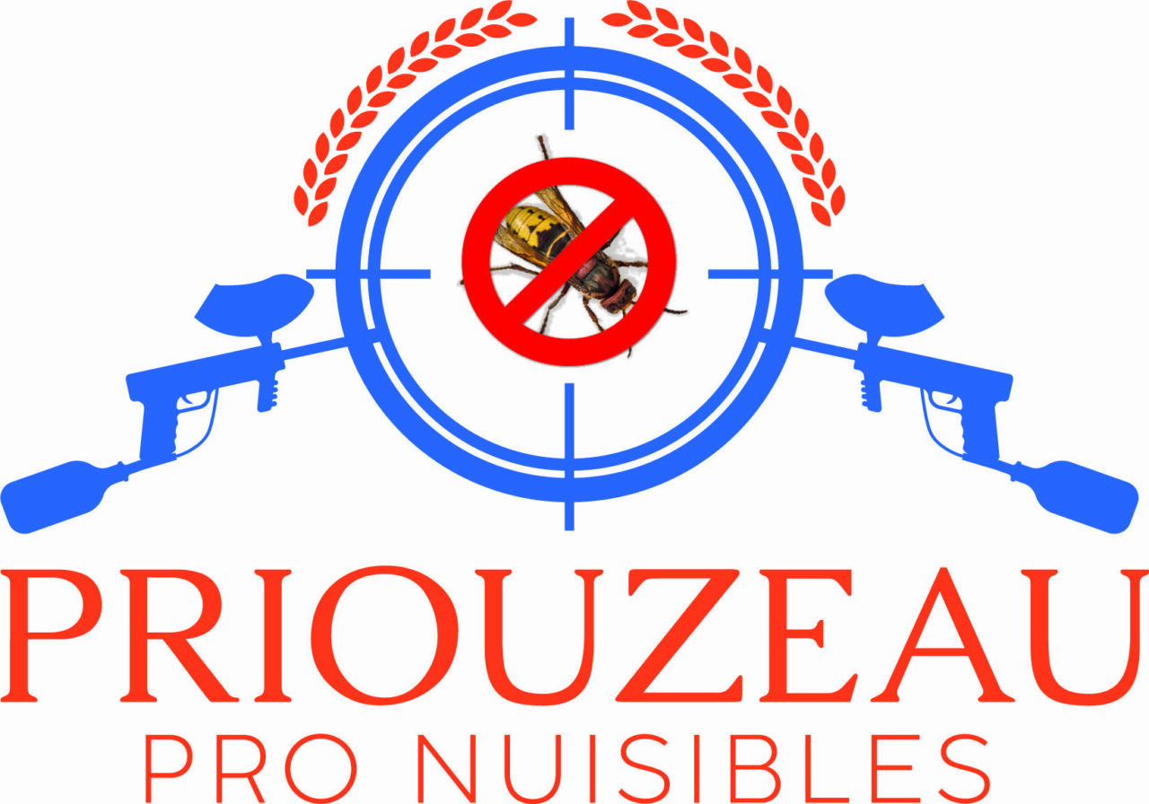 Dératisation BarbezieuxSaintHilaire PRIOUZEAU SEBASTIEN